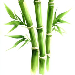 Fototapeta premium Vivid Watercolor Bamboo Illustration Featuring Green Stalks and Leaves for Zen, Nature Art, Botanical Decor, Eco-Friendly Design, Garden Inspiration, Asian Aesthetics
