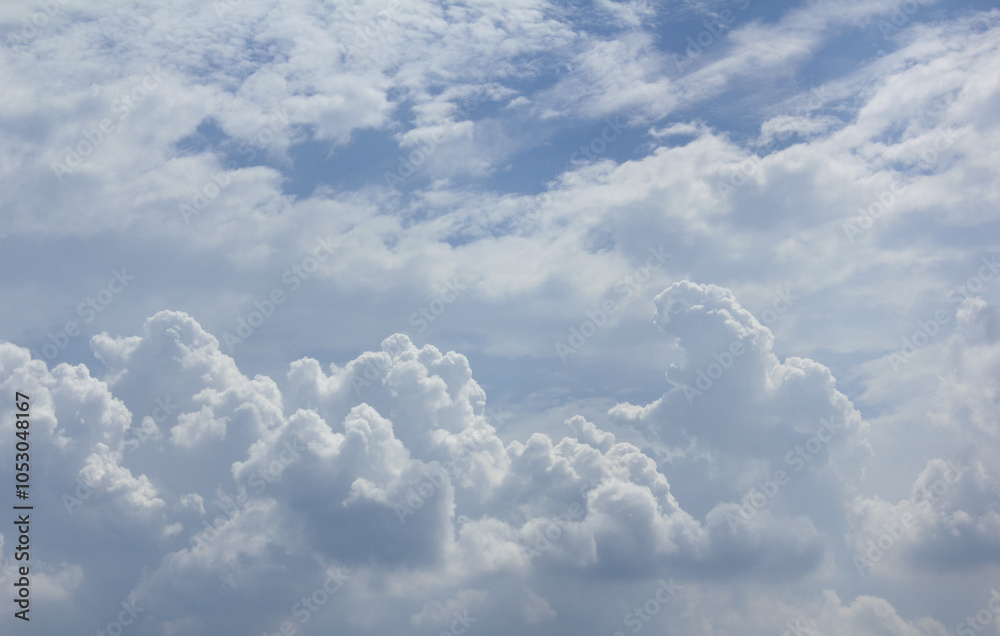 Canvas Prints the sky is full of clouds