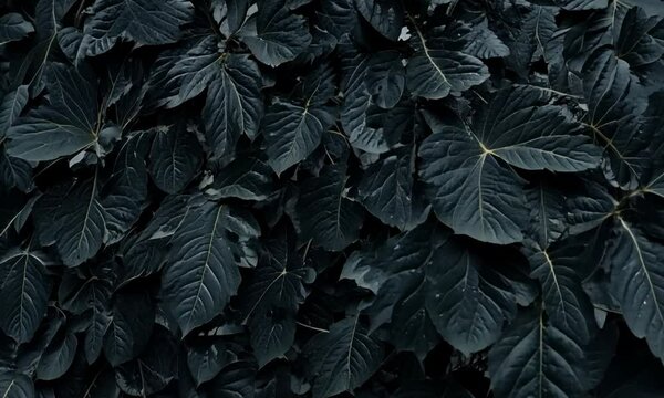 Closeup view of abstract black color leaves texture. Generative AI