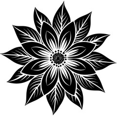 black and white flower isolated