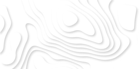 Vector minimal light element shadow landscape wave element curve graphic papercut design. Background with lines Modern black and white carve wave line abstract luxury papercut background.