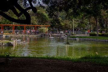 Refugio Urbano Un Oasis de Tranquilidad