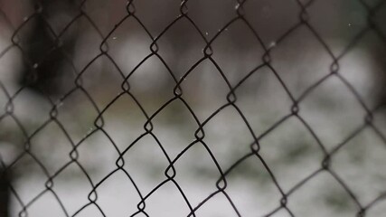 Snow falls on the fence - Powered by Adobe