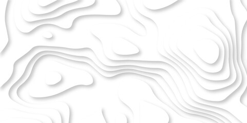 Minimal abstract vector wave carve diamond topography line circle creative 3d papercut white background. Luxury white wave and empty space for texture art design.