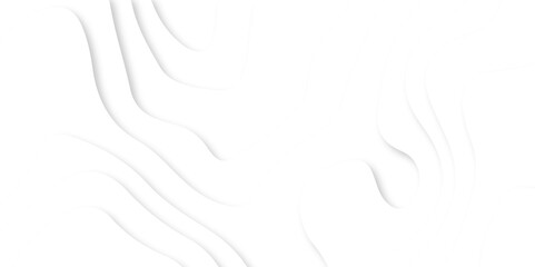 Vector minimal light element shadow landscape wave element curve graphic papercut design. Background with lines Modern black and white carve wave line abstract luxury papercut background.