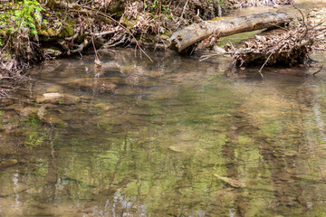 nature park , a walk along the riverbed with an overview of the stone bottom and banks