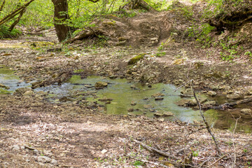 Fototapeta premium nature park , a walk along the riverbed with an overview of the stone bottom and banks
