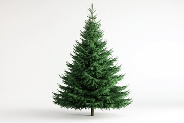 Fototapeta premium christmas tree isolated Beautiful christmas tree isolated on white background studio shot