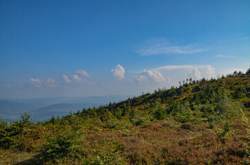 Fototapeta premium Multi-coloured panorama in the Beskid Mountains on the way to Barania Gora