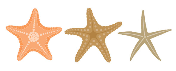 Cute starfish vector set cute cartoon style. 