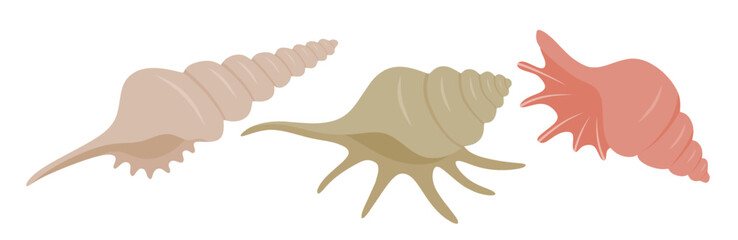 Obraz premium Cute sea snail vector set cute cartoon style. Seashell collection on white background.