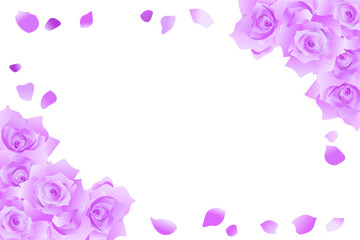 紫のバラのイラスト素材