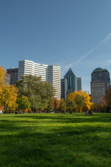 Obraz premium La ville de Montréal au canada avec ses gratte ciel