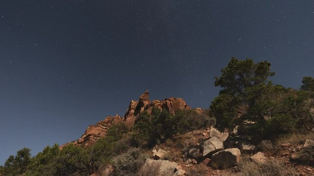 4k time lapse video of a half moon lighting the steep mountain slope covered with juniper trees below towering red cliffs and wheeling stars in a remote part of Zion Nat. Park, Utah, USA in Oct. 2024.