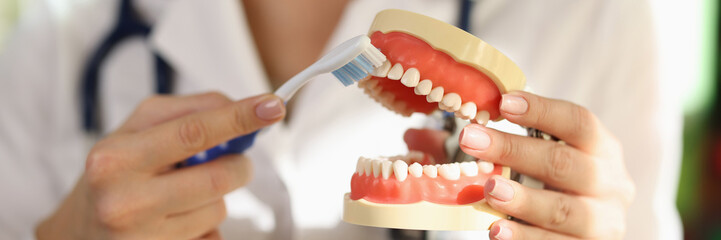 Doctor holds jaw in hand showing process of brushing teeth