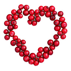 Obraz premium Highbush cranberries bright red small and round tightly packed in a perfect heart outline Food