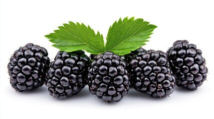 A photostock of fresh blackberries isolated on a white background, emphasizing ripe fruit.
