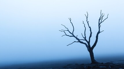 A solitary, bare tree stands against a misty blue backdrop, evoking a sense of tranquility and introspection in nature.