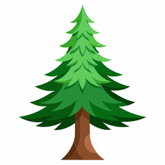 Fototapeta premium christmas tree isolated on white background