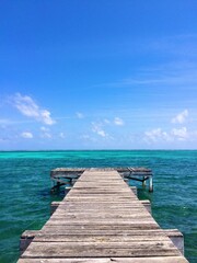 Obraz premium Tropical Boardwalk 