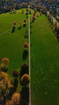 Aerial View of Autumn Park with Colorful Foliage in Harrogate