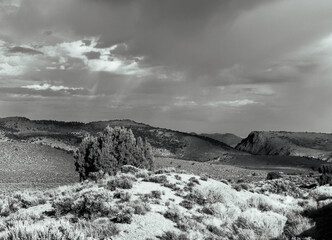 Stormy lonely Nevada landscape scene