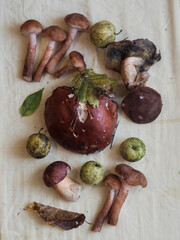 Vertical Flat Lay of Mushrooms, Apples and Leaves