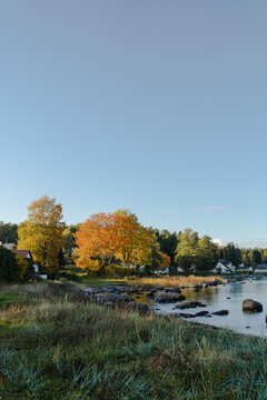 Colourful autumnal trees and wooden village by the sea