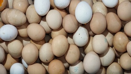 Brown and White Eggs at Market