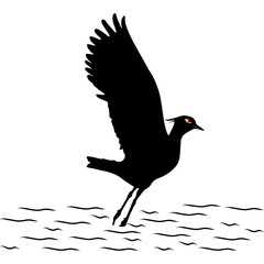 the fluttering of the northern lapwing's wings from the water silhouette model with antagonistic eyes