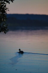 Obraz premium pink sky sunset on the blue lake 