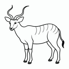 Obraz premium vector saola on white background