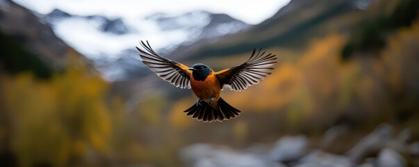 Obraz premium A migratory bird soaring through shifting seasons, symbolizing resilience and the beauty of adaptation.