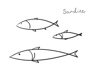 Hand drawn pilchard, doodle sardine fishes, sketched fish pictogram, sardines icon, sketchy sea animals