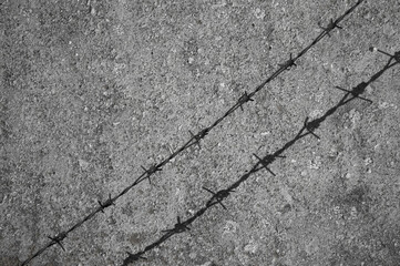 barbed wire and its shadow against a grey concrete wall
