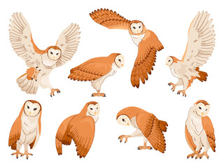 Barn owl. Tyto alba owls, forest bird with snowy face and brown plumage wings flying and sitting poses, night prey animal cartoon isolated birds set swanky vector illustration © ssstocker