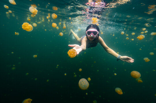 diving into the jellyfish lake in Raja Ampat