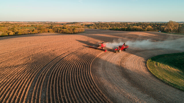 A combine harvester cutting through golden crops  during harvest
