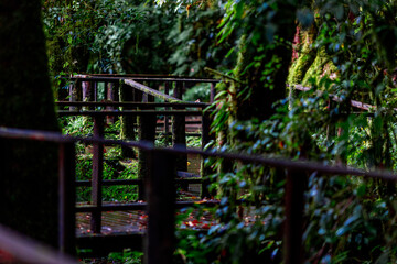 The natural background of the mountain atmosphere, green rice fields and many kinds of plants surrounding, rainbow and a walkway to see the completeness of the ecosystem.