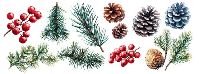 Coniferous twigs, red berries, pine cones, spruce cones on a white background.