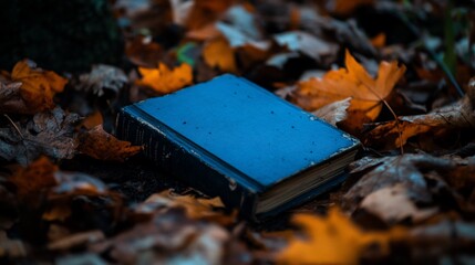 A blue book lies on a bed of autumn leaves in the forest.