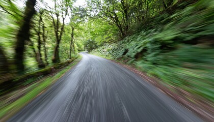 Obraz premium A winding road through a lush, green forest, conveying a sense of motion and adventure.