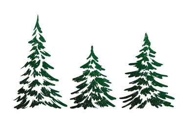Set sketches of green fir trees.
