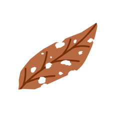 Illustration of a leaf with holes. Illustration of a dry brown leaf with holes from insect bites