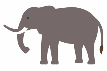 Elephant continuous vactor illustration on white background
