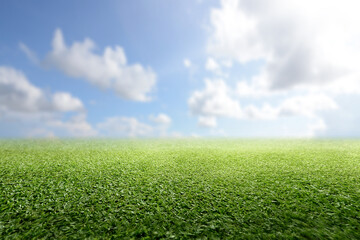 Meadow field with blue sky and clouds in the background