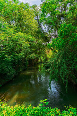 Fototapeta premium The beautiful scenery of forests and streams in mountainous areas of Zhejiang Province, China