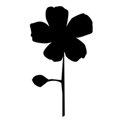 Flowers black