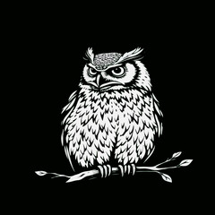 owl vector image