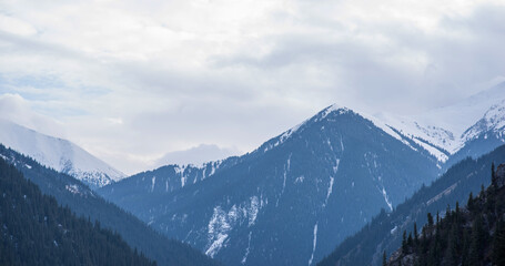 majestic snow-capped mountains rising above a dense coniferous forest, with the overcast sky suggesting the quiet cold of a winter or late autumn season in a high alpine environment